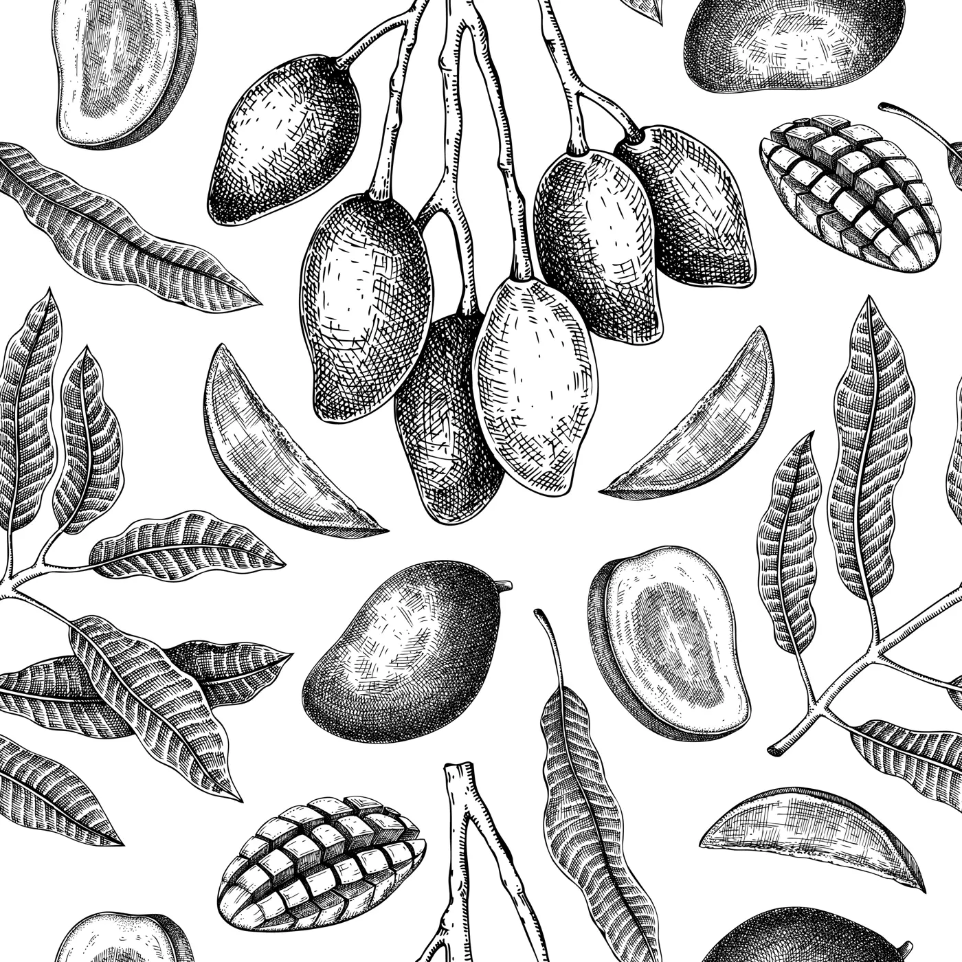 Tropical fruit seamless pattern. Ripe mango sketch. Hand-drawn vector illustration. Exotic plant background. Collage style design. NOT AI generated Illustration